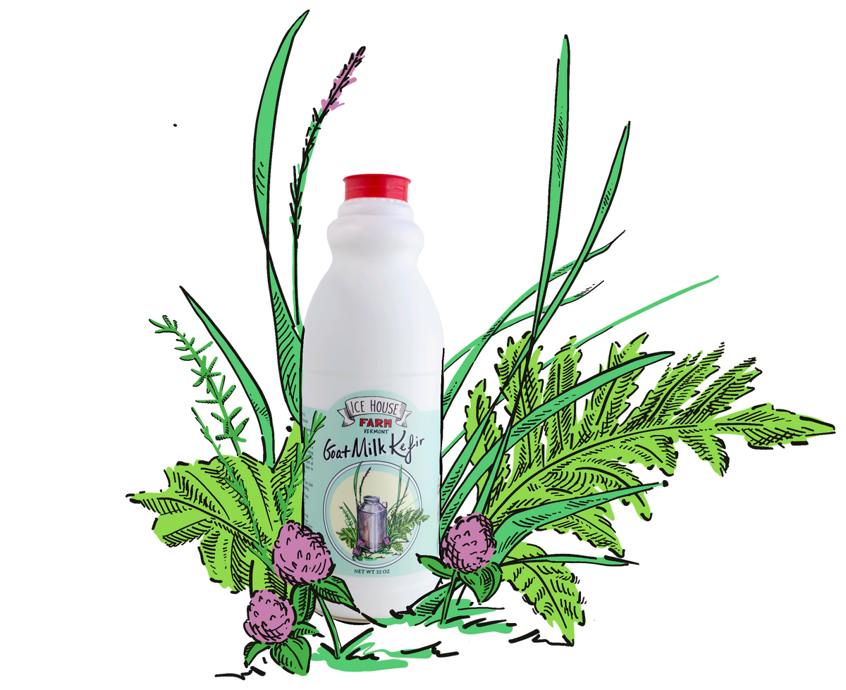 Kefir goat hotsell milk for dogs