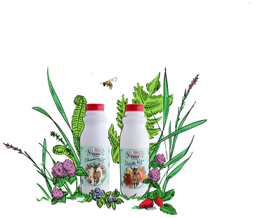 goat milk kefir maple strawberry