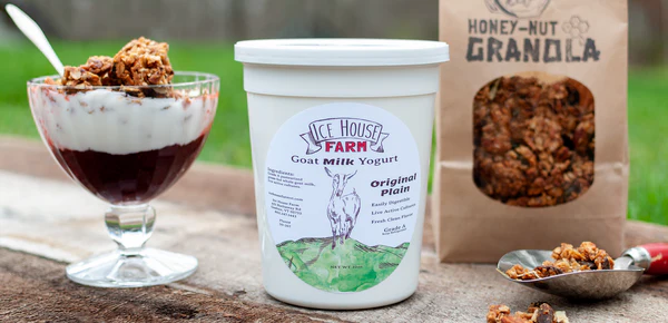 Whole Plain Goat Milk Yogurt
