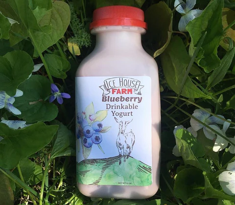 Blueberry Drinkable Goat Milk Yogurt