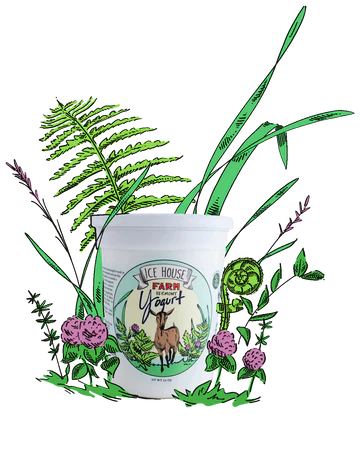 Goat Milk Yogurt - 32oz