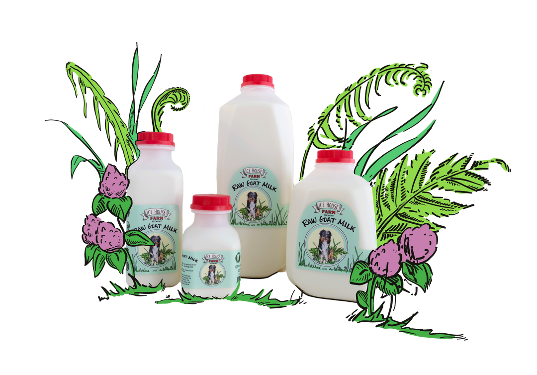 Frozen raw goats milk for dogs best sale